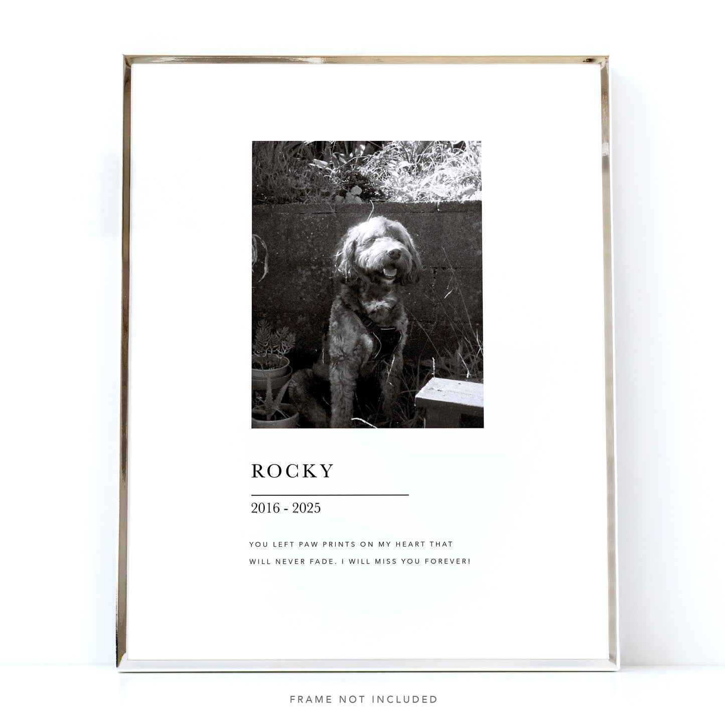 Photo Print - Dog Memorial Gift For Pet Loss