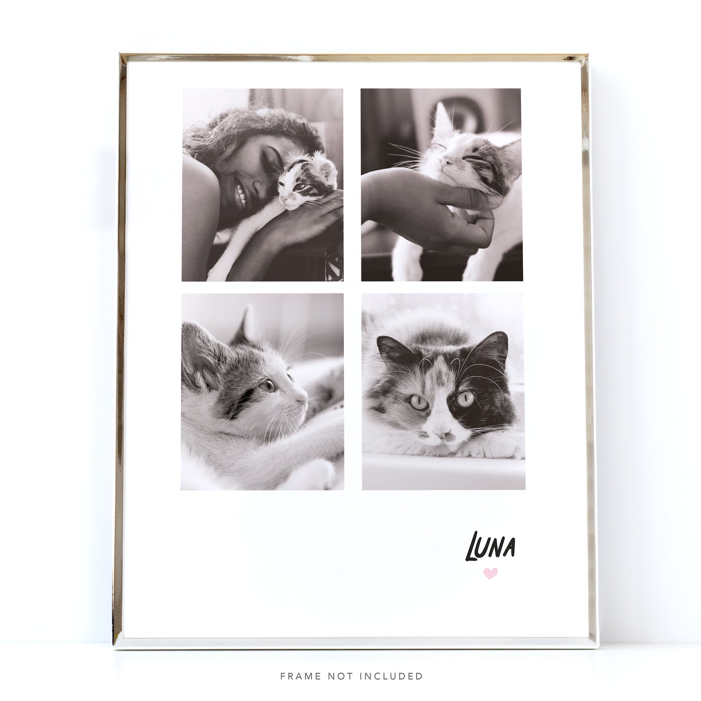 Picture Collage - Cat Memorial