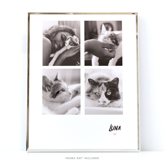 Picture Collage - Cat Memorial