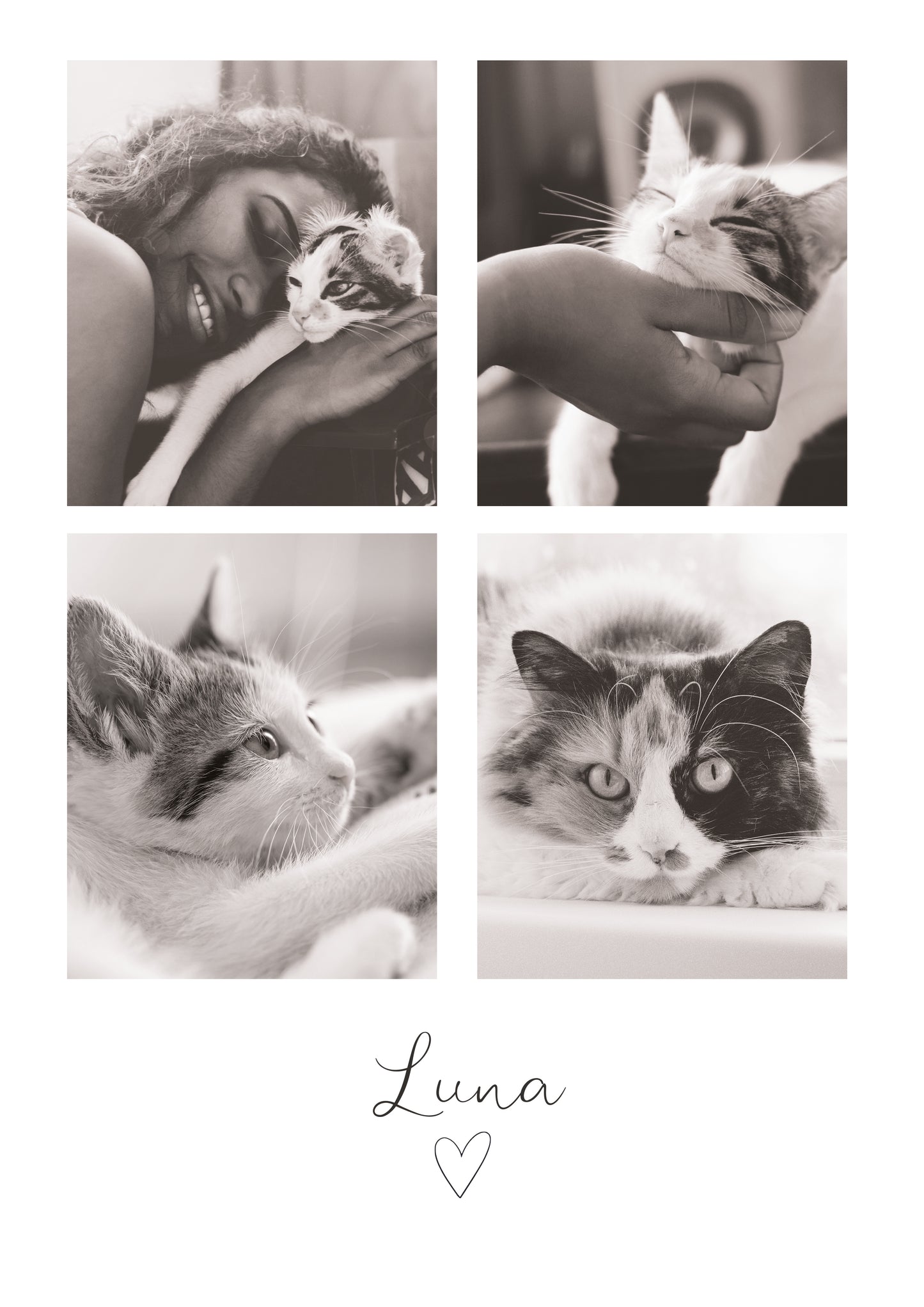 Cat print | Pet memorial gift