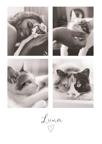 Cat print | Pet memorial gift